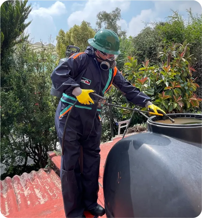 Técnico desinfecta un tinaco durante la limpieza de tinacos y cisternas en Cuajimalpa de Morelos